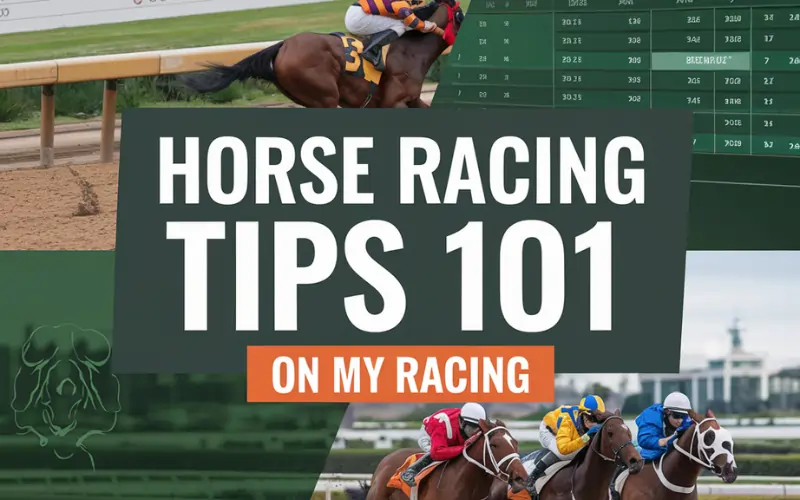 Horse Racing 101: How to Bet, Win, and Follow Top Races with My Racing