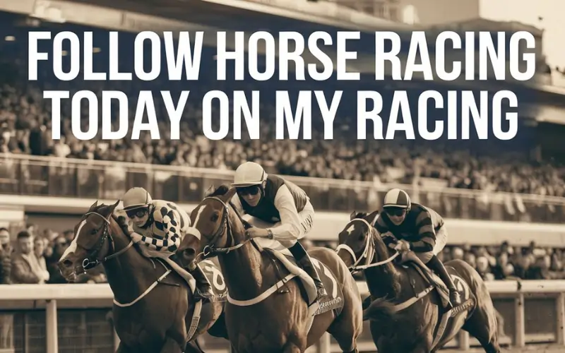 Follow Horse Racing Today on My Racing: All Exclusive Insights and Expert Picks