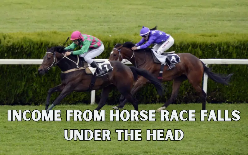 How to Track Income from Horse Race Falls Under the Head